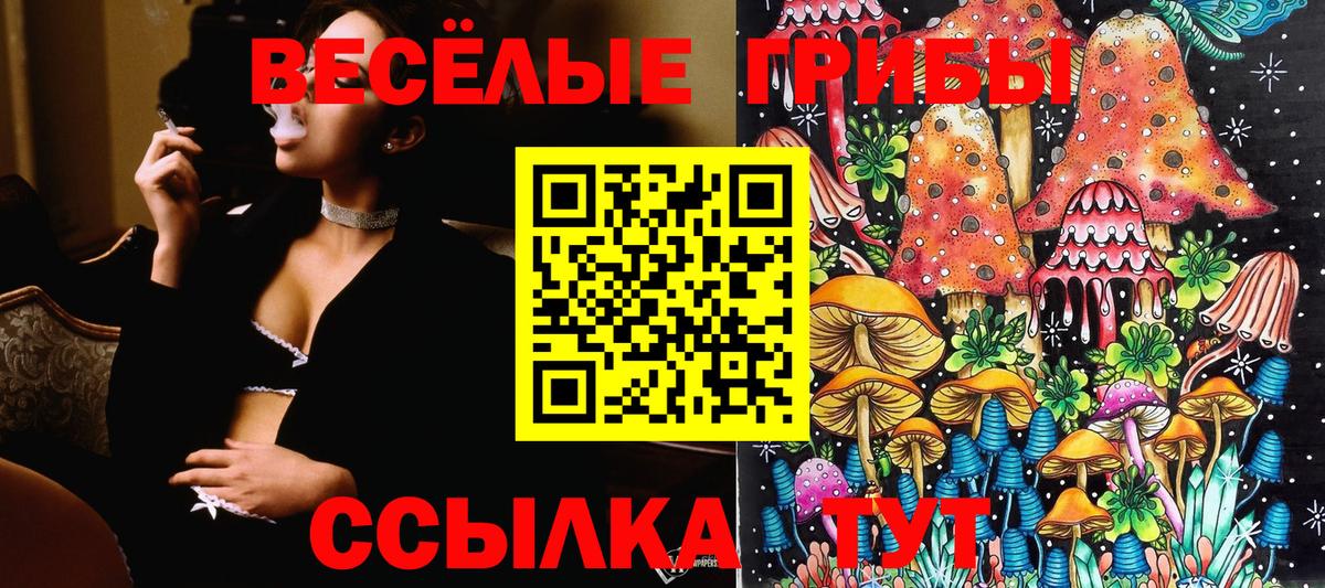 Псилоцибиновые грибы ЛСД  Вход с VPN  Тында 