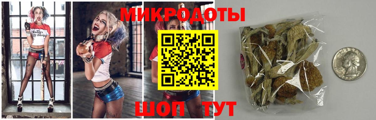 Псилоцибиновые грибы мицелий Тында